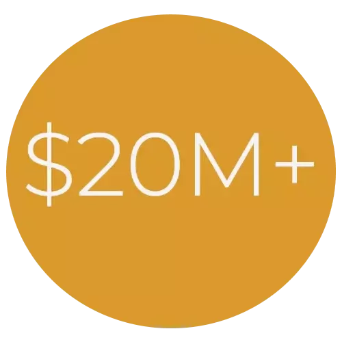 $20M+ Successful engagements managed